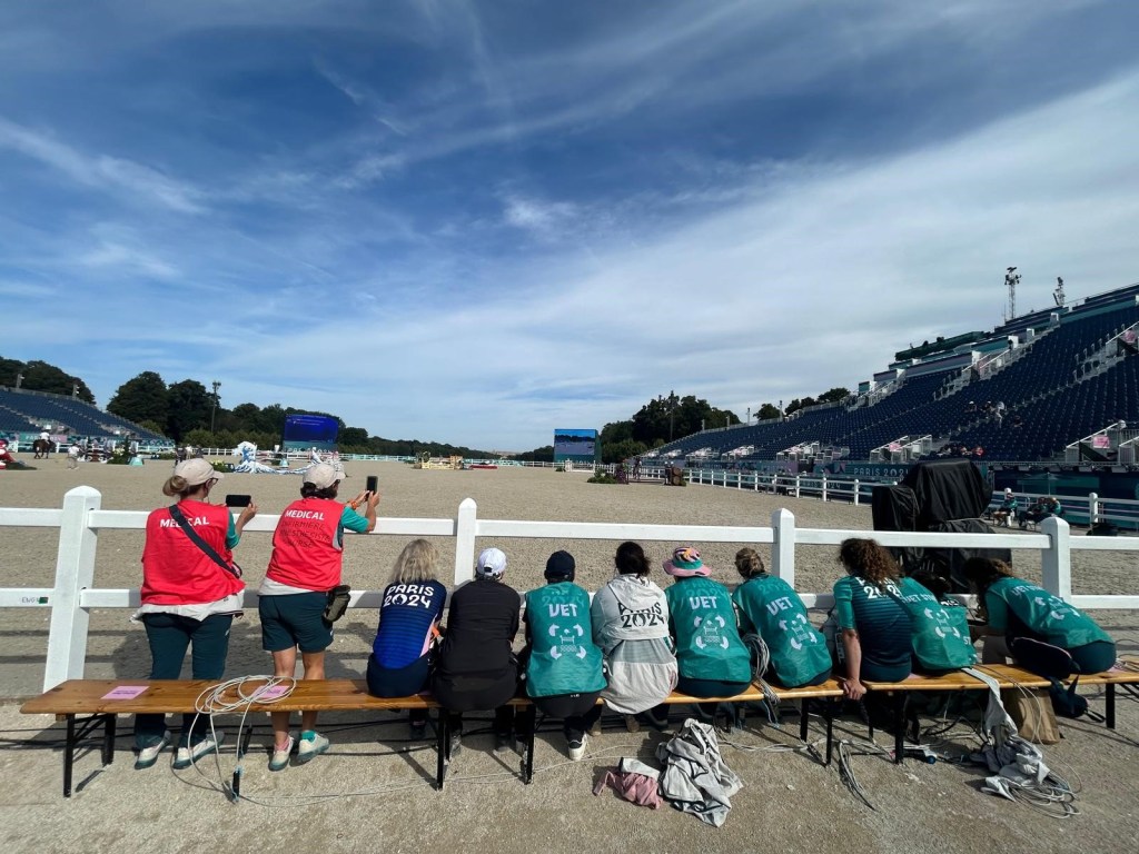 vétérinaires jeux olympiques