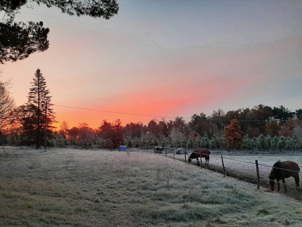 matin d'hiver