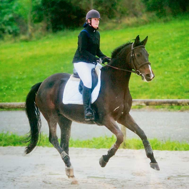 BIEN-ETRE-EQUIN-ET-SPORTS-EQUESTRES-web