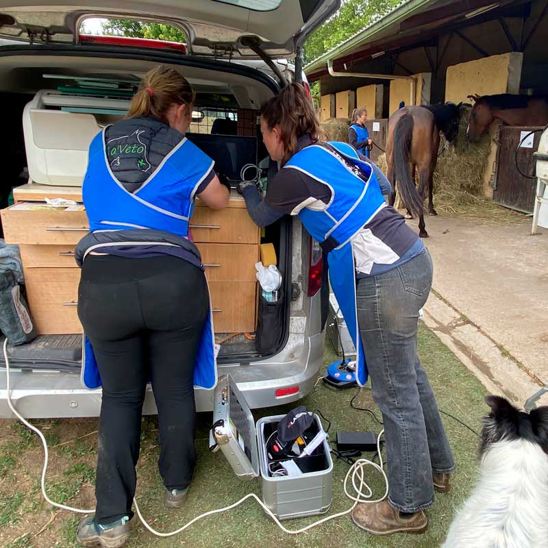 BIENVEILLANCE-ET-COOPERATION-web