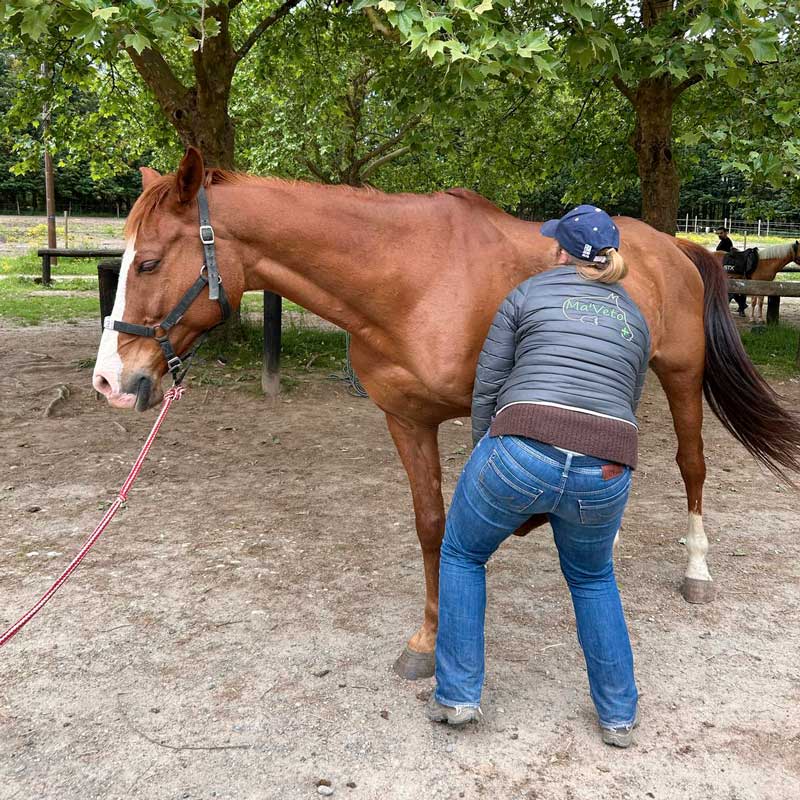 EXAMENS-LOCOMOTEURS-1-web