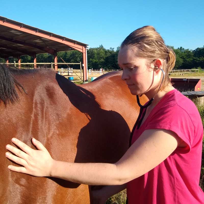 MEDECINE-GENERALE-web